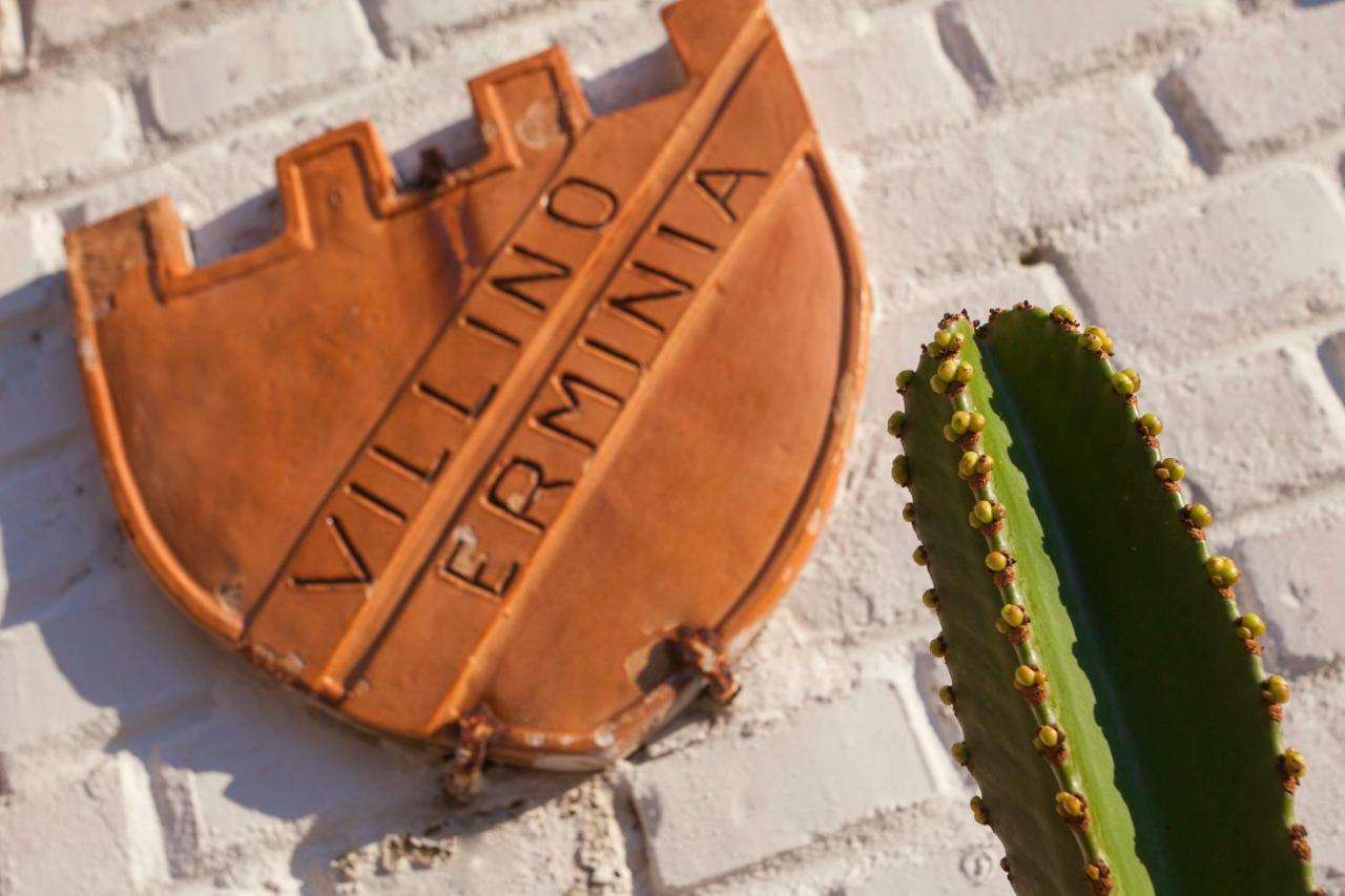 Villino Erminia - Seaside Art B&B Πίτσο Εξωτερικό φωτογραφία